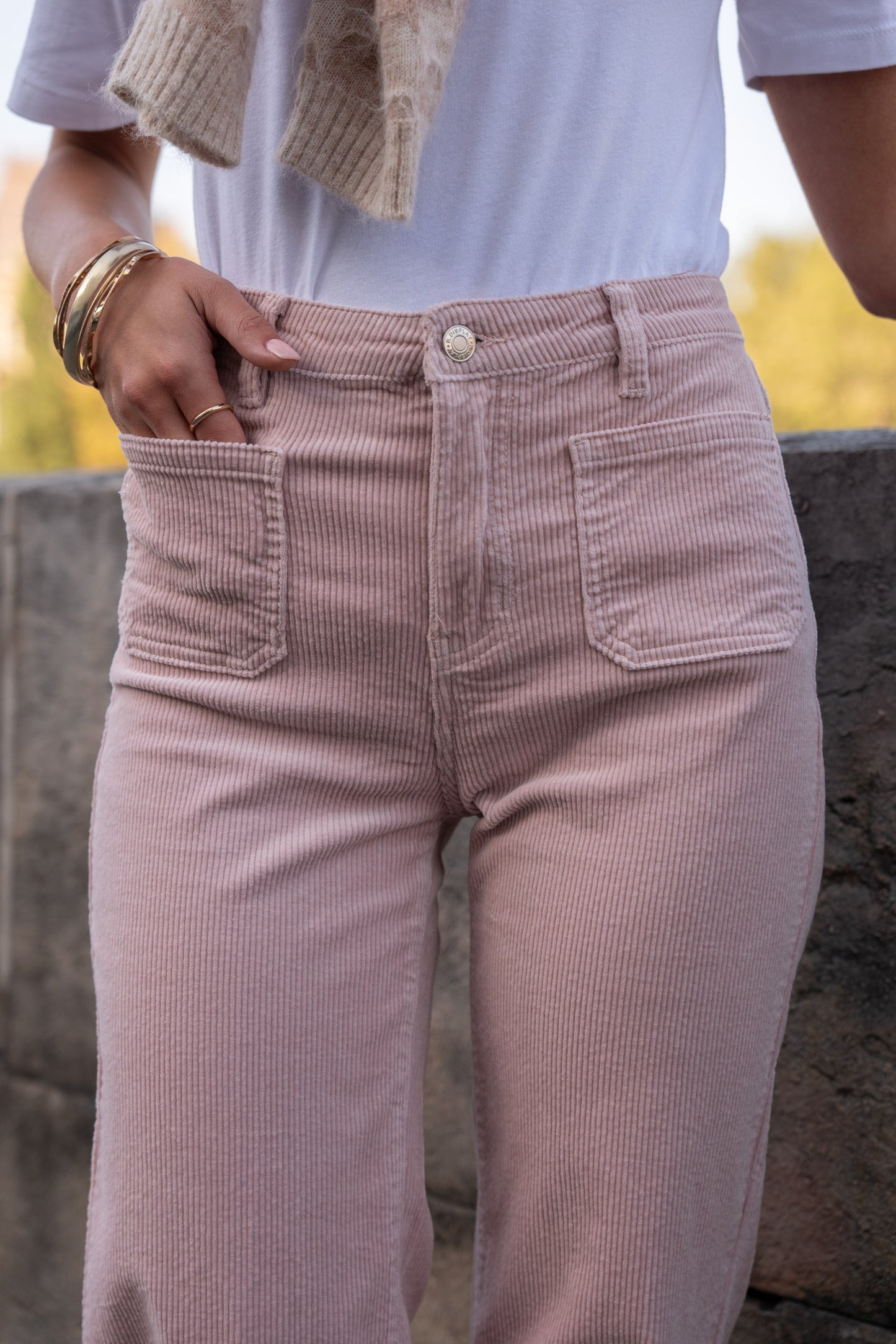 Pantalon Garance en velour